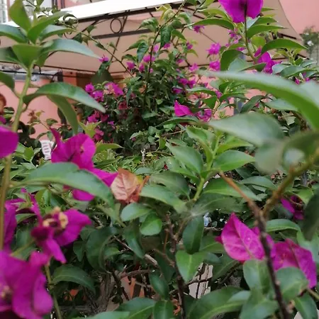Apartment In Centro